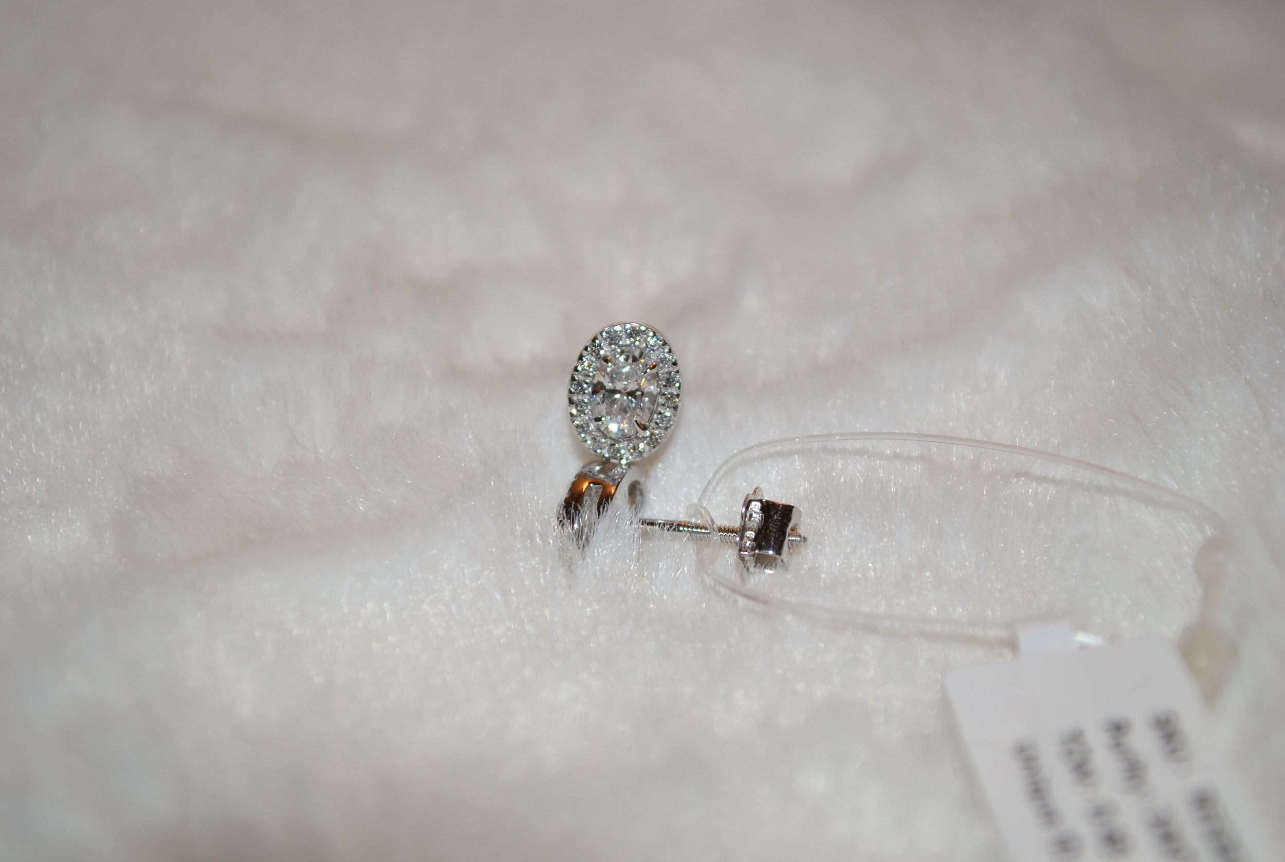 Oval Halo Earring Studs